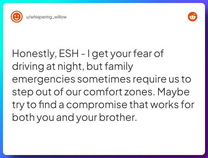 Comment from u/whispering_willow