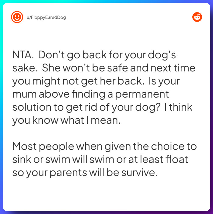 Comment from u/FloppyEaredDog