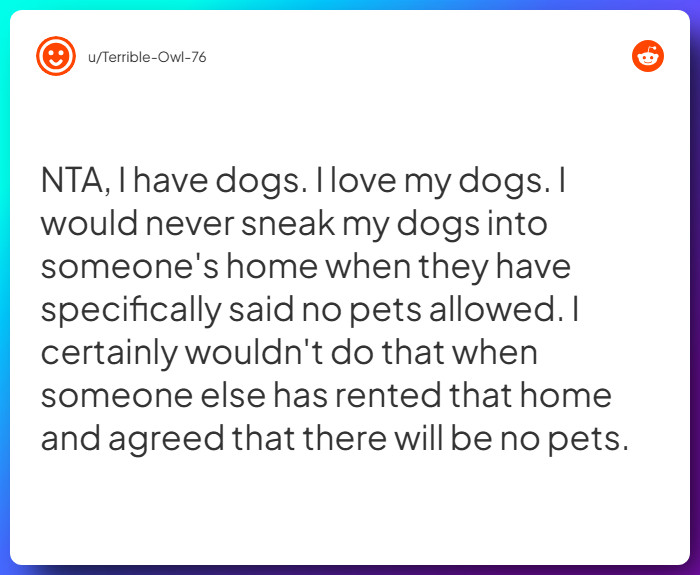 Comment from u/Terrible-Owl-76