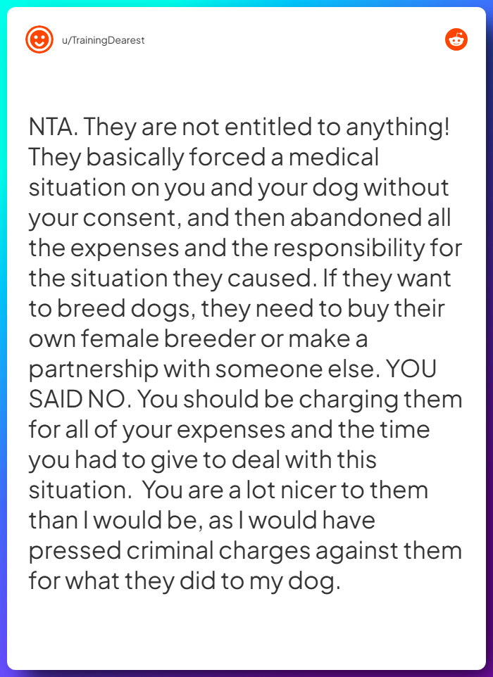 Comment from u/TrainingDearest