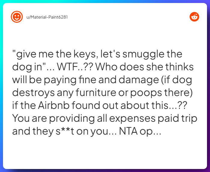 Comment from u/Material-Paint6281