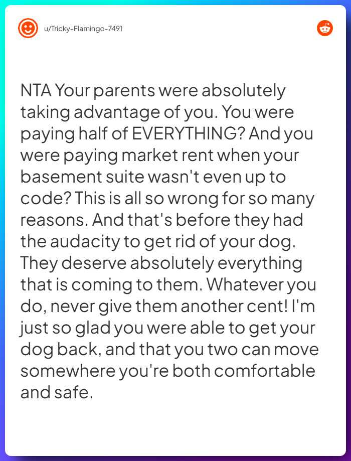 Comment from u/Tricky-Flamingo-7491