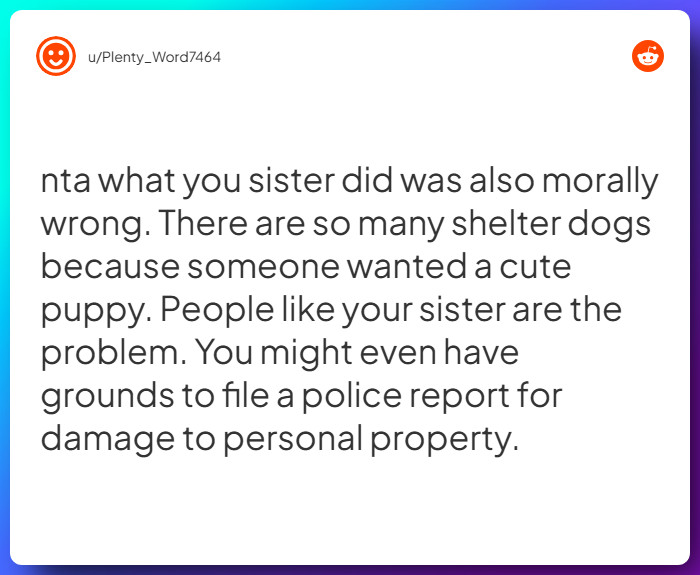 Comment from u/Plenty_Word7464