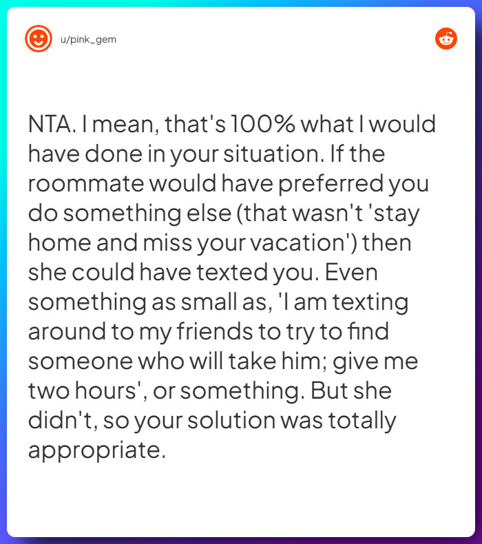 Comment from u/pink_gem