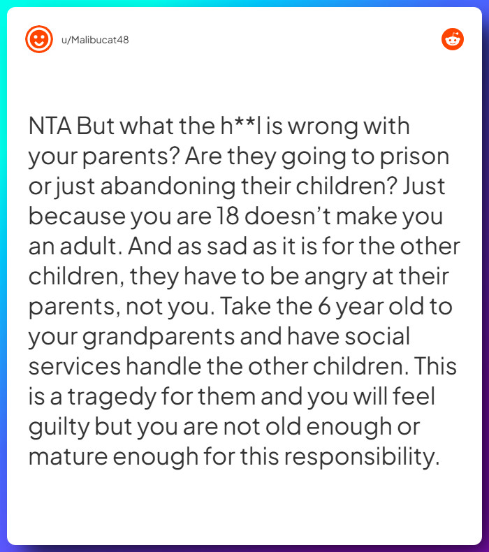 Comment from u/Malibucat48