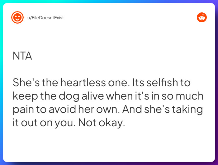 Comment from u/FileDoesntExist