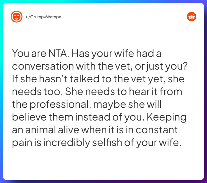 Comment from u/GrumpyWampa