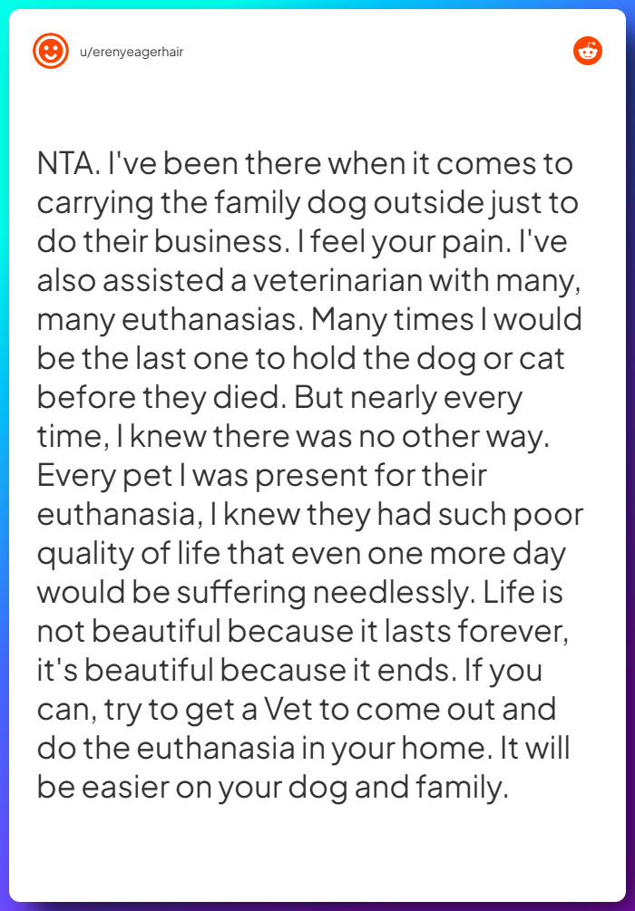 Comment from u/erenyeagerhair