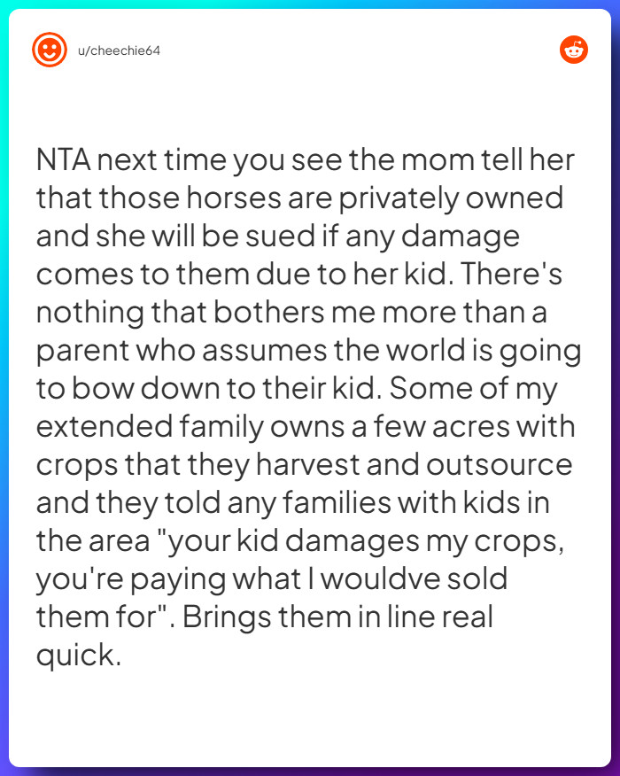 Comment from u/cheechie64