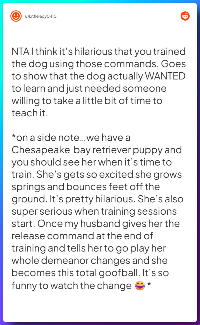 Comment from u/Littlelady0410