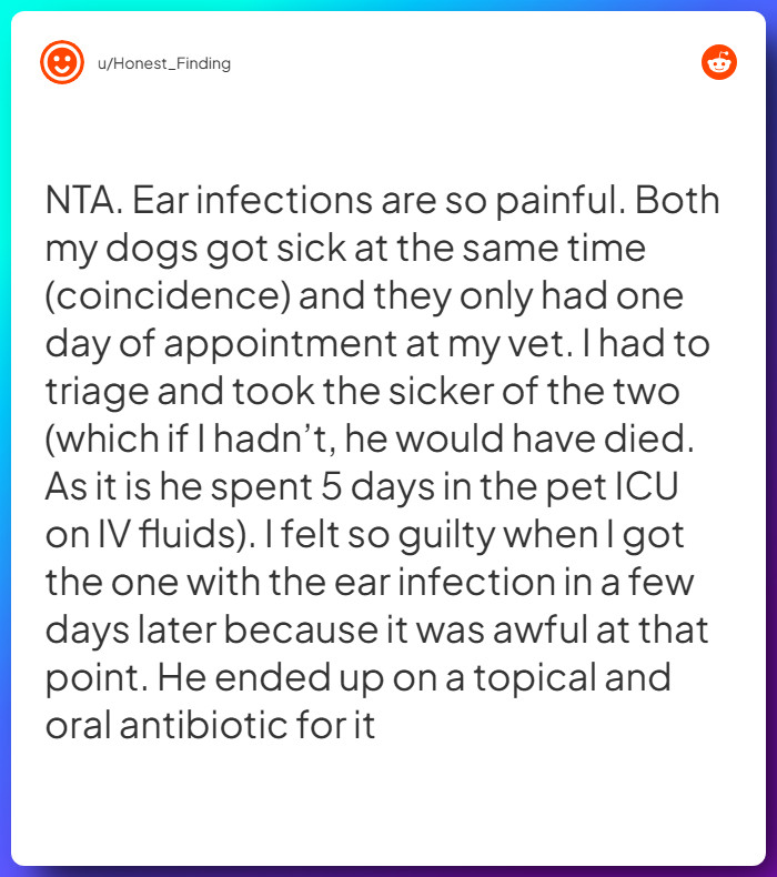 Comment from u/Honest_Finding