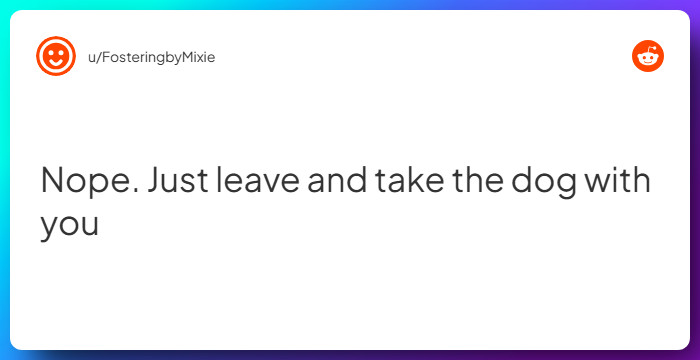 Comment from u/FosteringbyMixie