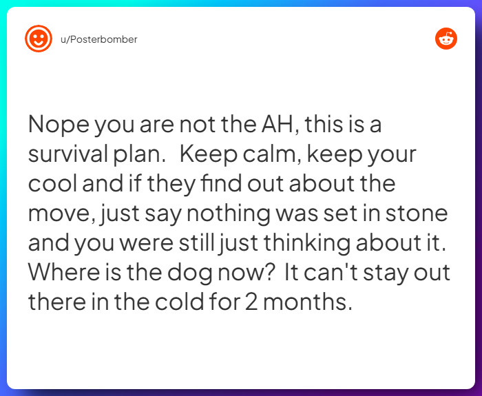 Comment from u/Posterbomber