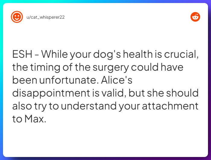 Comment from u/cat_whisperer22