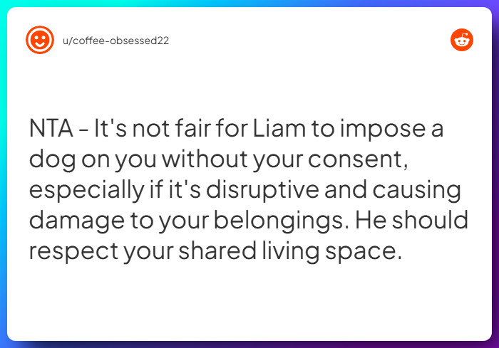 Comment from u/coffee-obsessed22