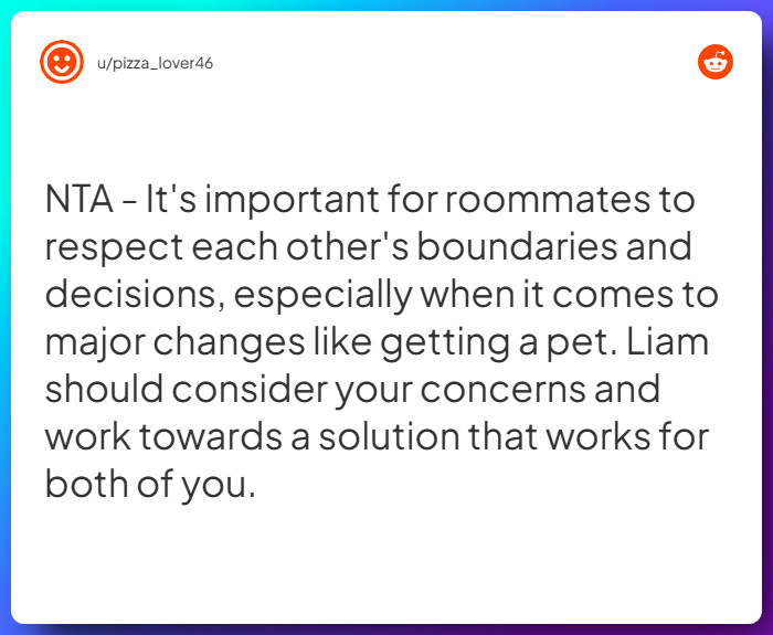 Comment from u/pizza_lover46