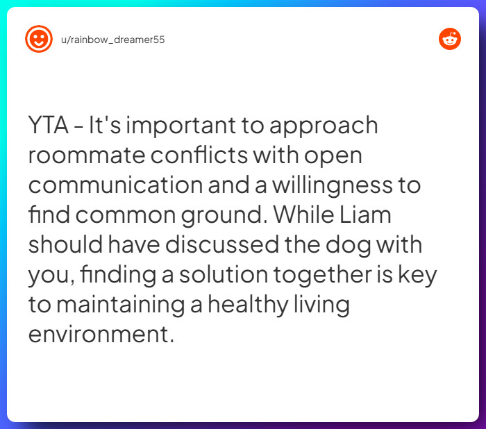 Comment from u/rainbow_dreamer55