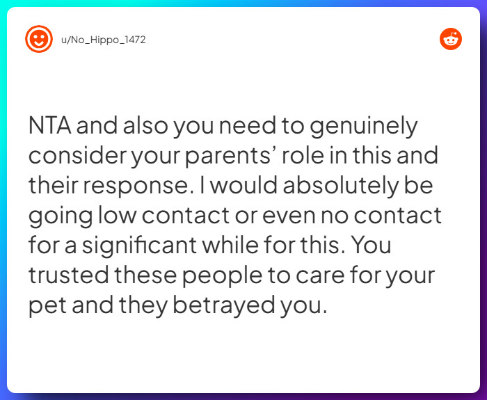 Comment from u/No_Hippo_1472