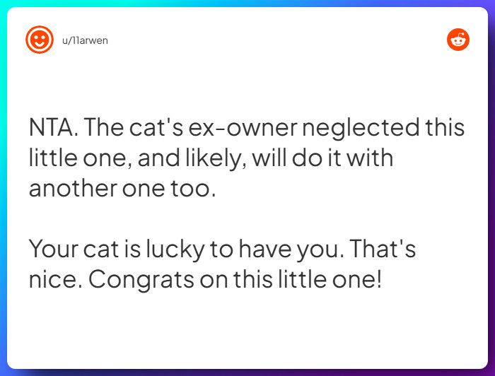 Comment from u/11arwen