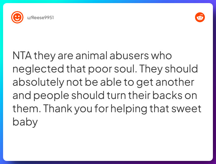 Comment from u/Reese9951