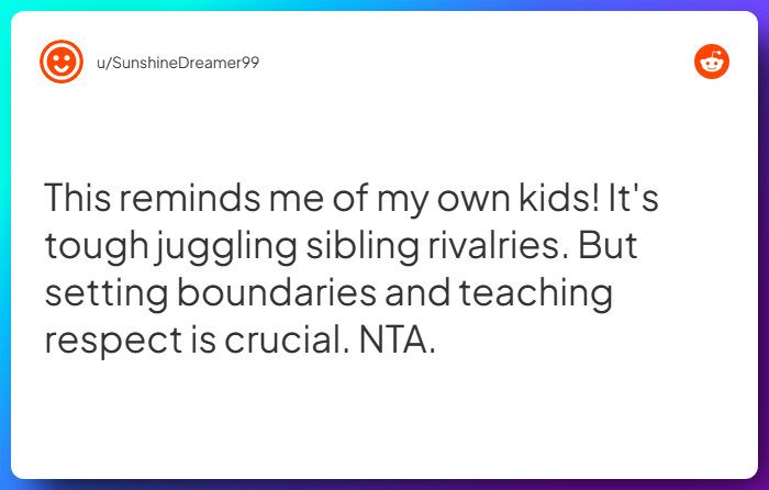 Comment from u/SunshineDreamer99