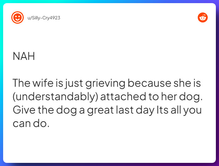 Comment from u/Silly-Cry4923