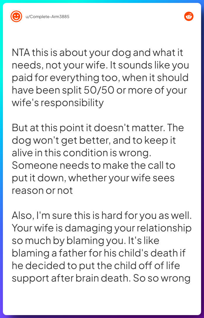 Comment from u/Complete-Arm3885