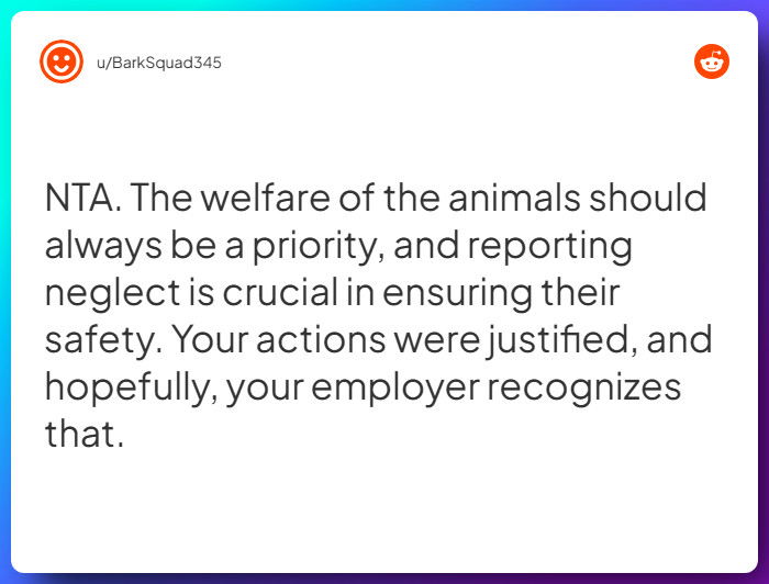 Comment from u/BarkSquad345