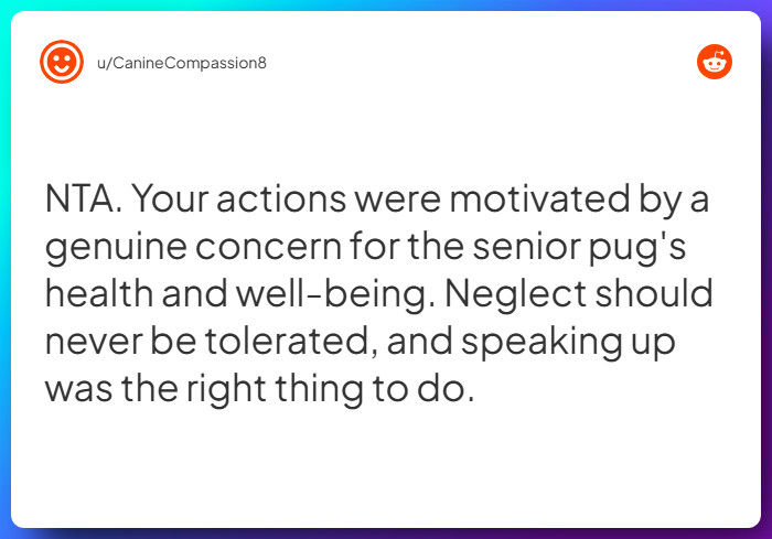 Comment from u/CanineCompassion8