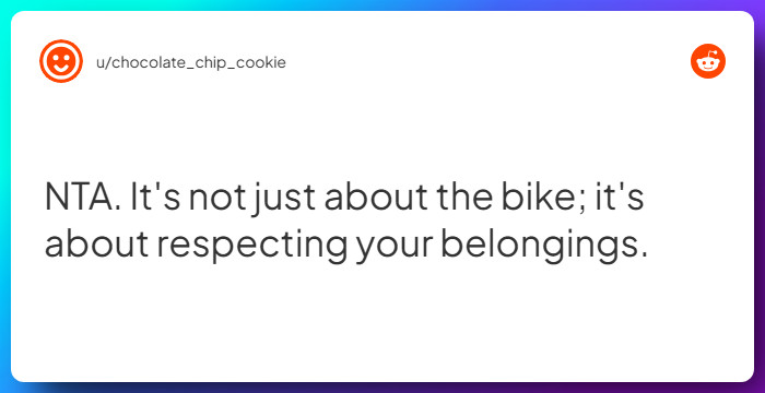 Comment from u/chocolate_chip_cookie