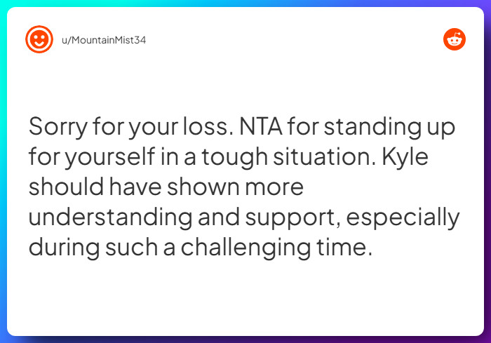 Comment from u/MountainMist34