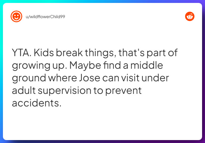 Comment from u/wildflowerChild99