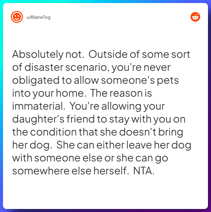 Comment from u/BlaineTog