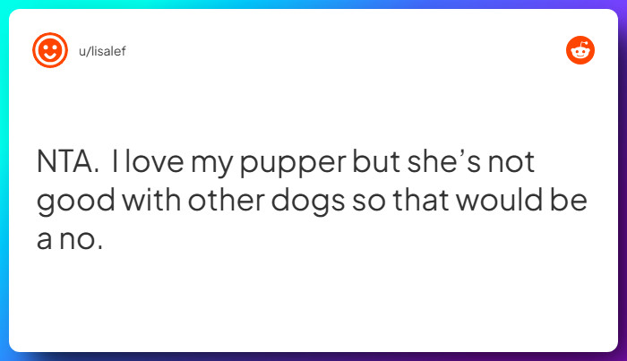 Comment from u/lisalef