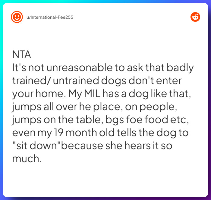 Comment from u/International-Fee255