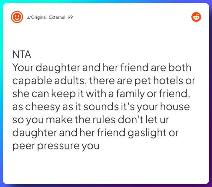 Comment from u/Original_External_99