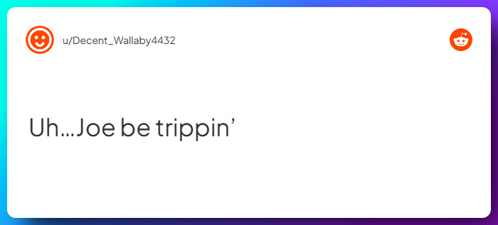 Comment from u/Decent_Wallaby4432