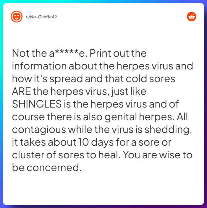 Comment from u/No-Giraffe49