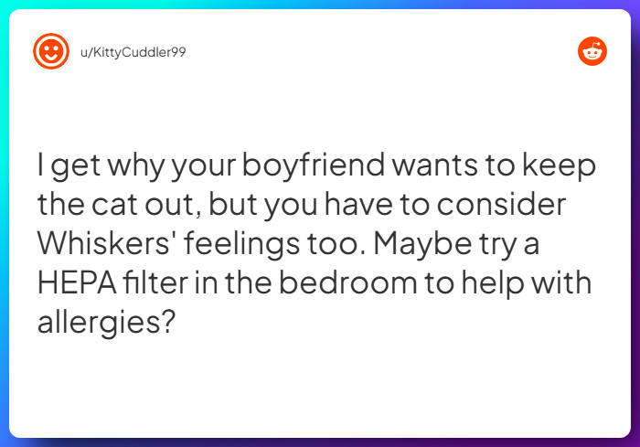 Comment from u/KittyCuddler99
