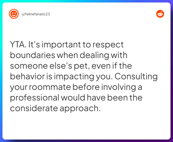 Comment from u/felinefanatic23