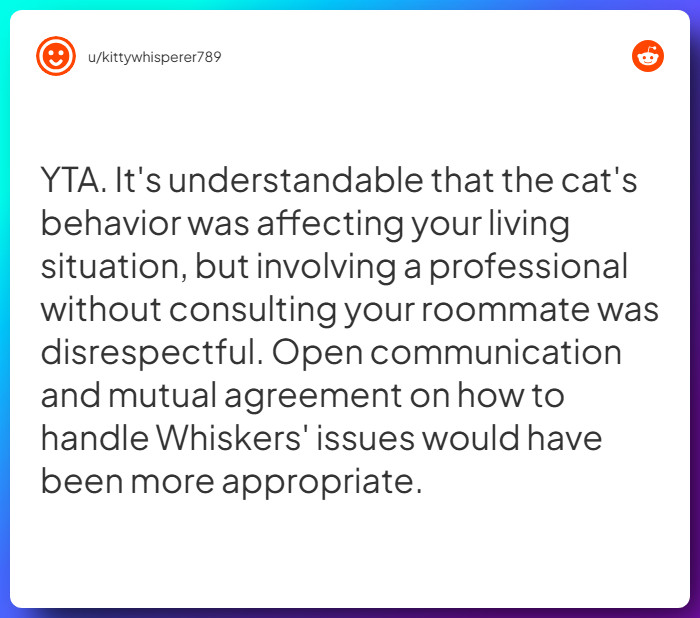 Comment from u/kittywhisperer789