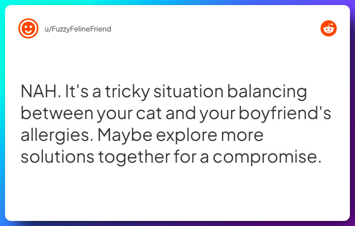 Comment from u/FuzzyFelineFriend