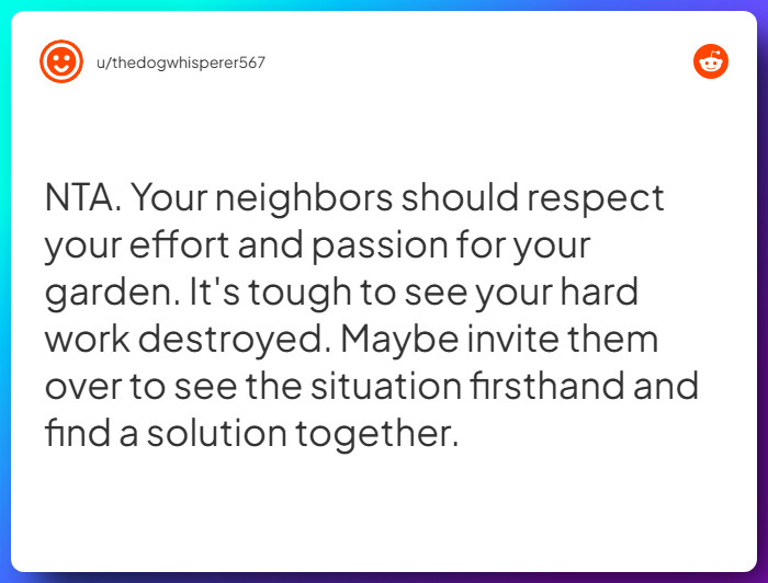 Comment from u/thedogwhisperer567