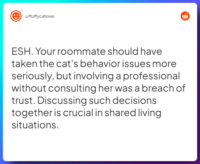 Comment from u/fluffycatlover