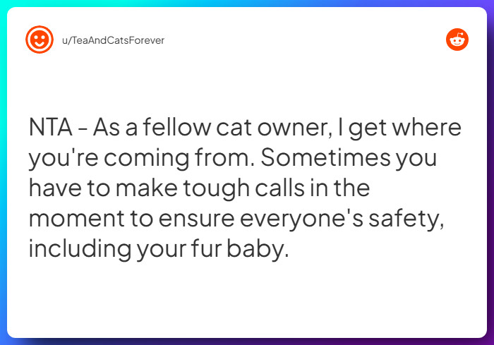 Comment from u/TeaAndCatsForever