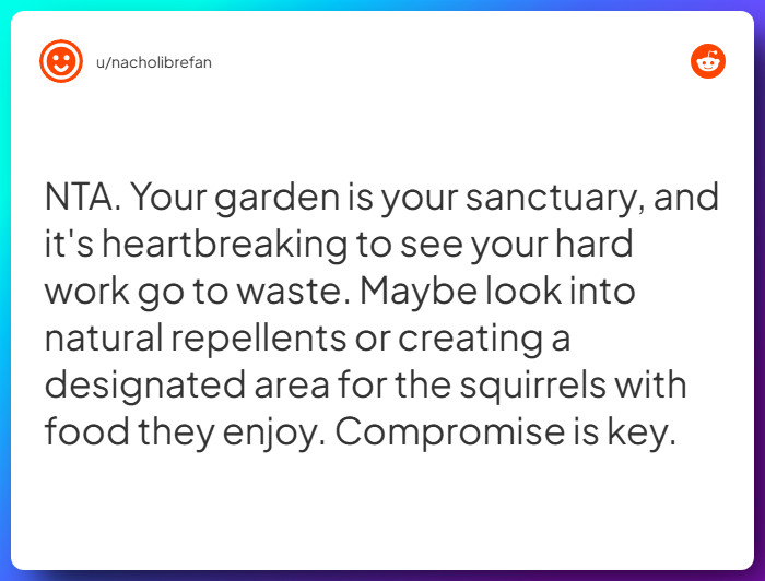 Comment from u/nacholibrefan