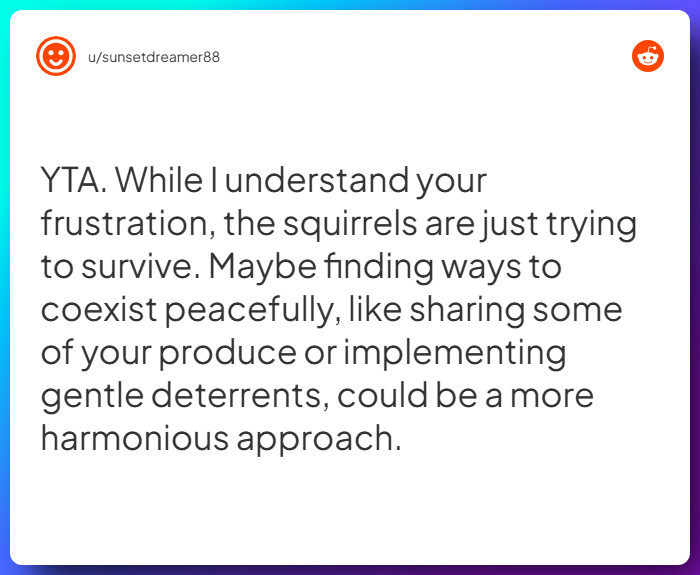 Comment from u/sunsetdreamer88