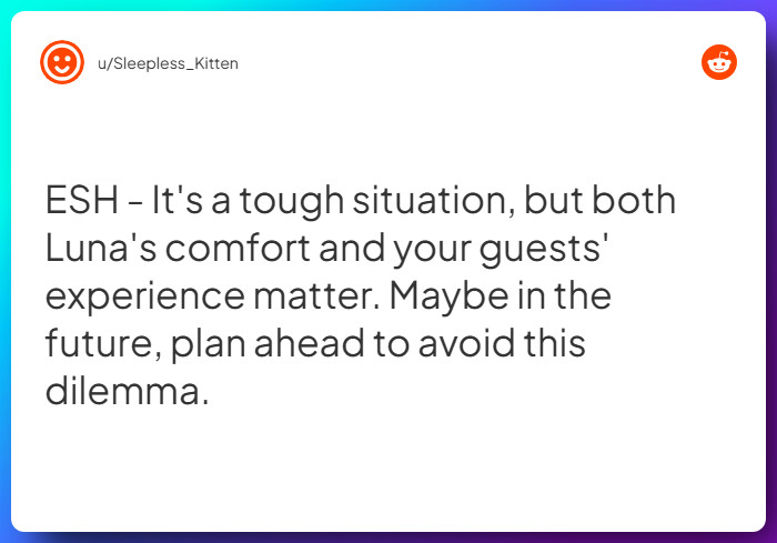 Comment from u/Sleepless_Kitten