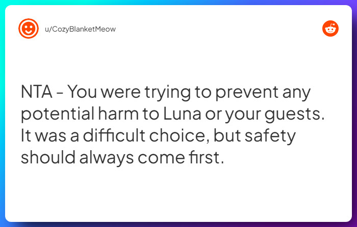 Comment from u/CozyBlanketMeow