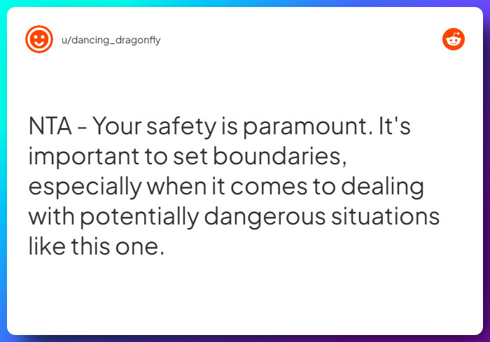 Comment from u/dancing_dragonfly